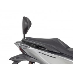 Shad 2021 Backrest