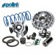 PO.241.755 : Polini V4 Variator Forza 125 300 NSS