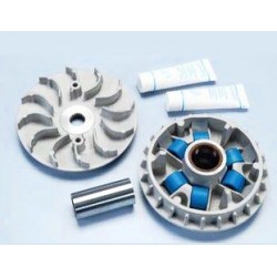 PO.241.650 : Polini 300 Variator Forza 125 300 NSS